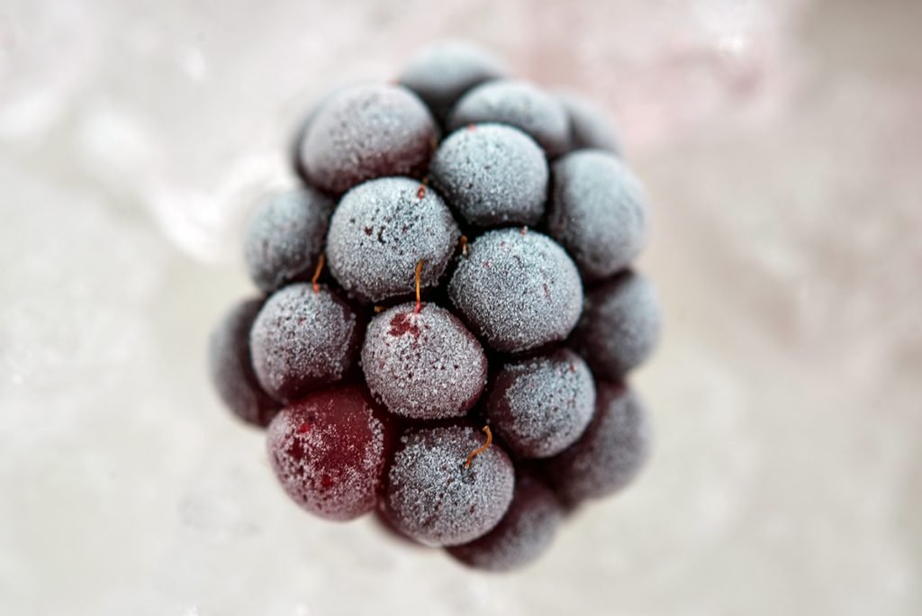 Fruchtiges-Himbeereis-mit-Joghurt-Creme-am-stiel-Foto: Maike Helbig-fuer-bettina bergwelt -www.myotherstories.de
